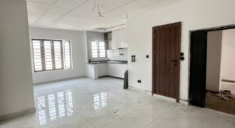 SPACIOUS LUXURY 2BEDROOM APARTMENT WITH SWIMMING POOL IDADO,LEKKI